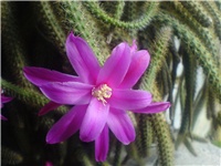 0f561c02-Picture 387.jpg